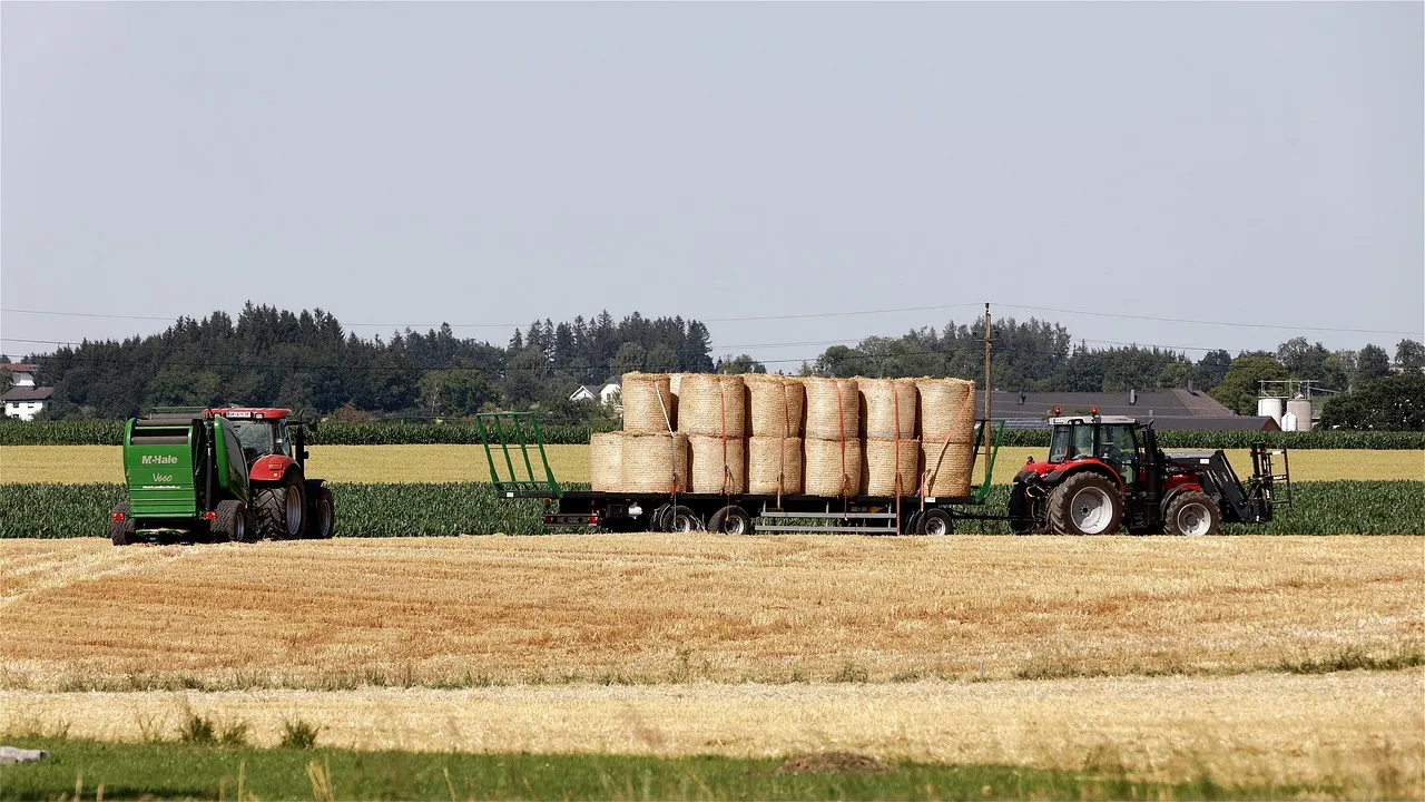 aurora-pete-field-work