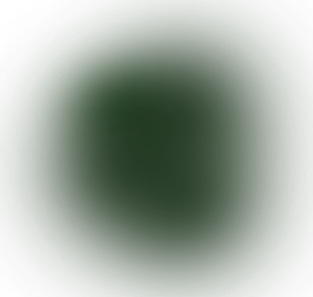 bg4