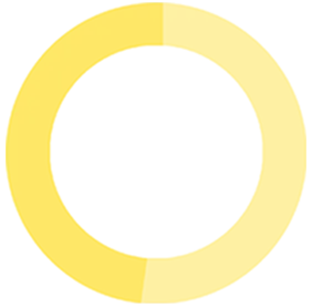 yellow41
